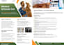 design a clean modern business flyer that converts
